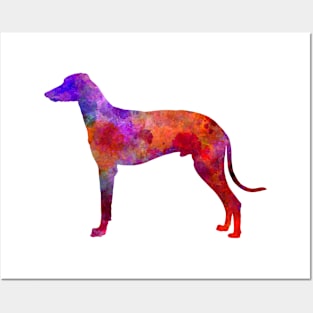 Hungarian Greyhound in watercolor Posters and Art